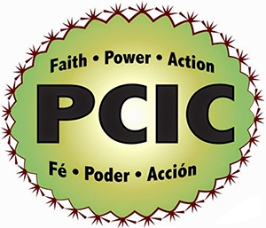 PCIC-300×257